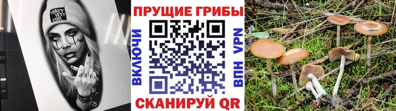 Галлюциногенные грибы GOLDEN TEACHER  Сызрань 